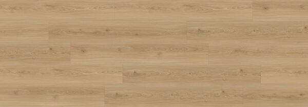 Bear Woods WP Bianco Romano 60" x 9 1/4"