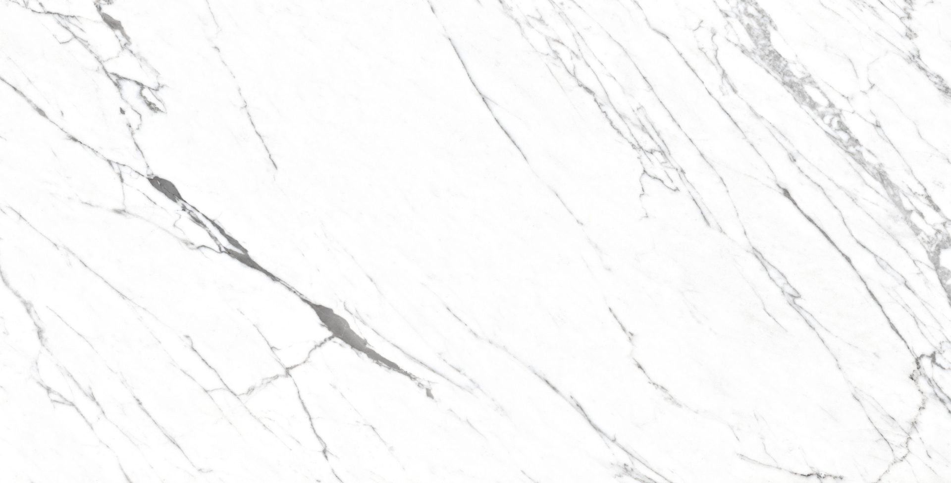 Venato 24"X48" R Polished