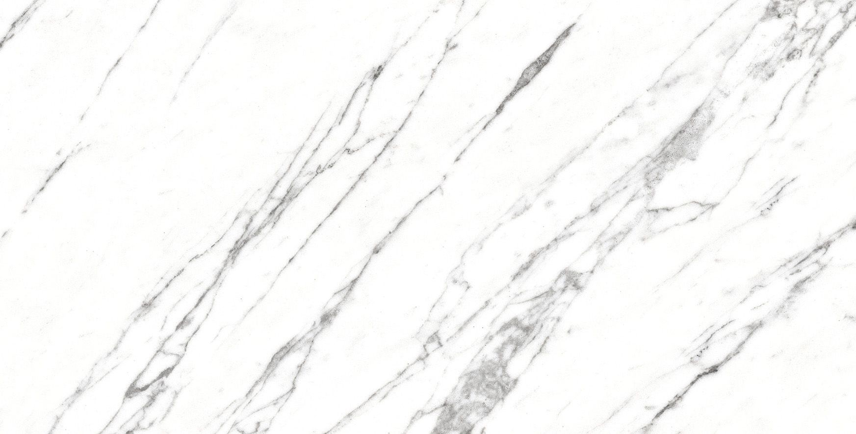 Venato 12"X24" R Up